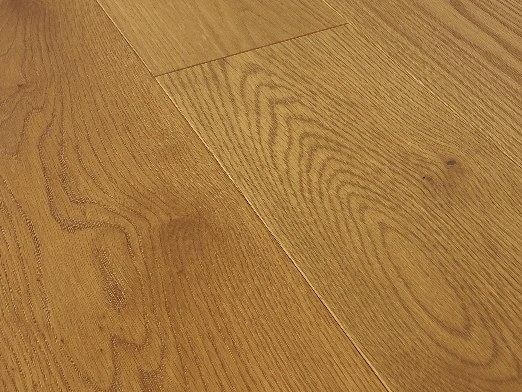 Close-up of European oak at a low angle showing grain, small knots and the seams between planks