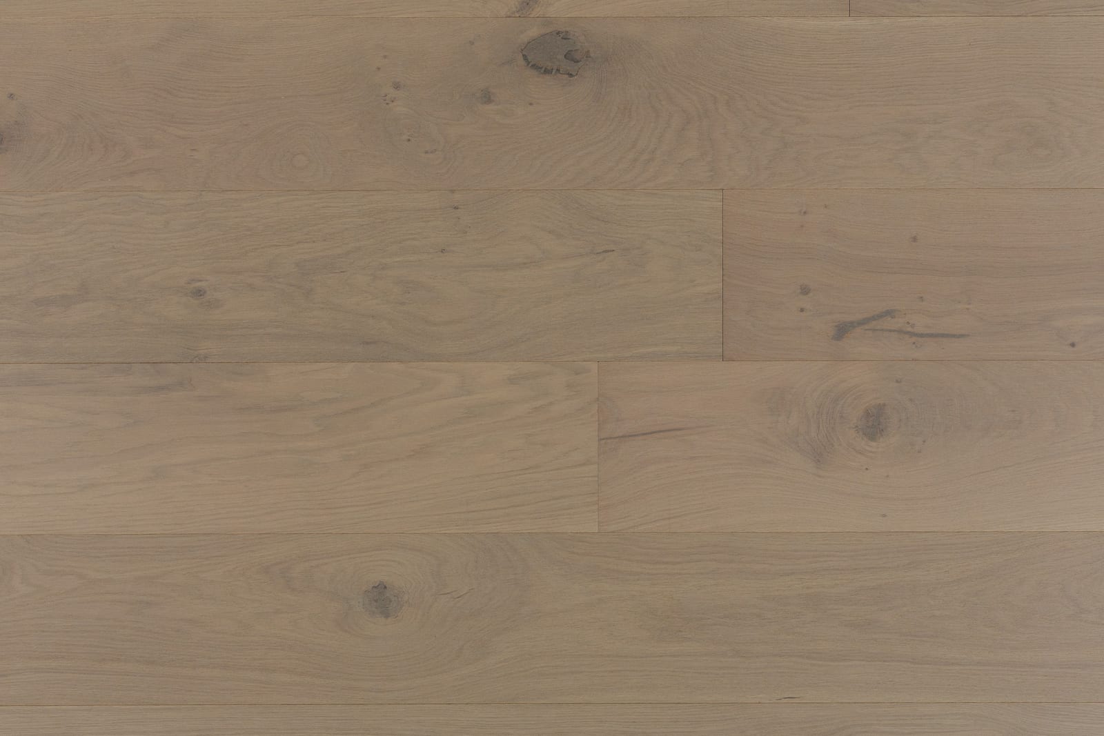 Bergamo 9.5" Wide Oak Capri Bene