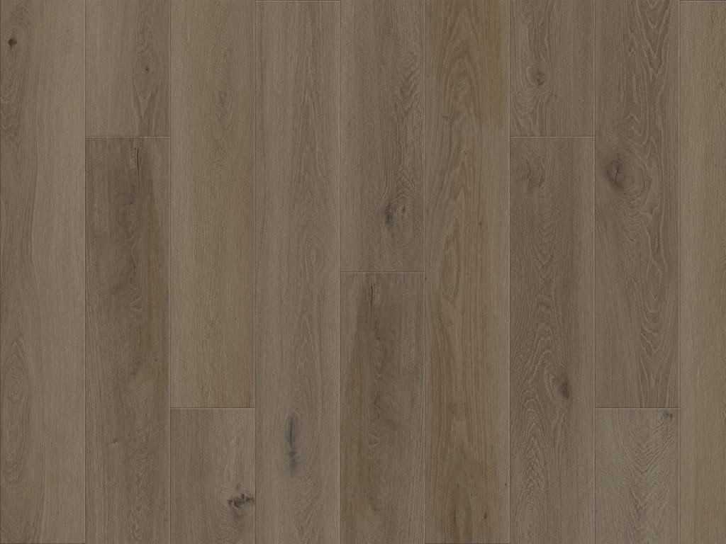 Duchateau Portfolio Terre