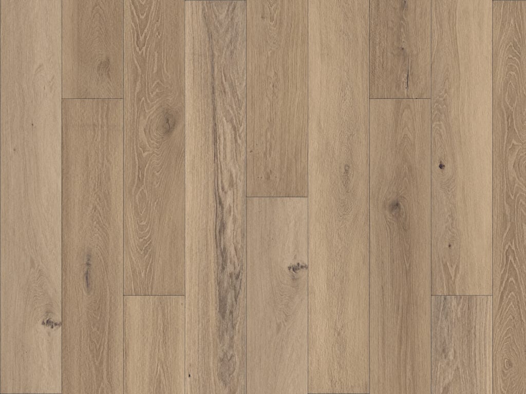 Duchateau Portfolio Clavon