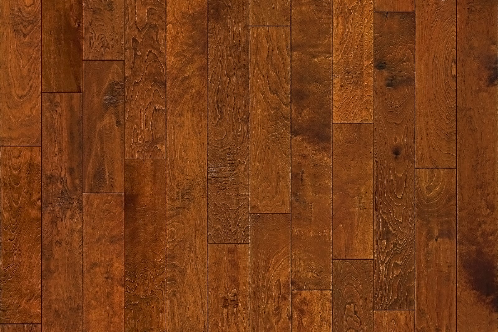 Garrison Competition Buster Birch Chestnut