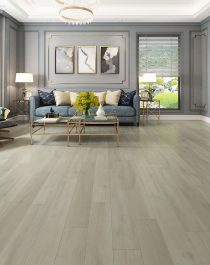 GAIA eTERRA White Series Sand Dollar