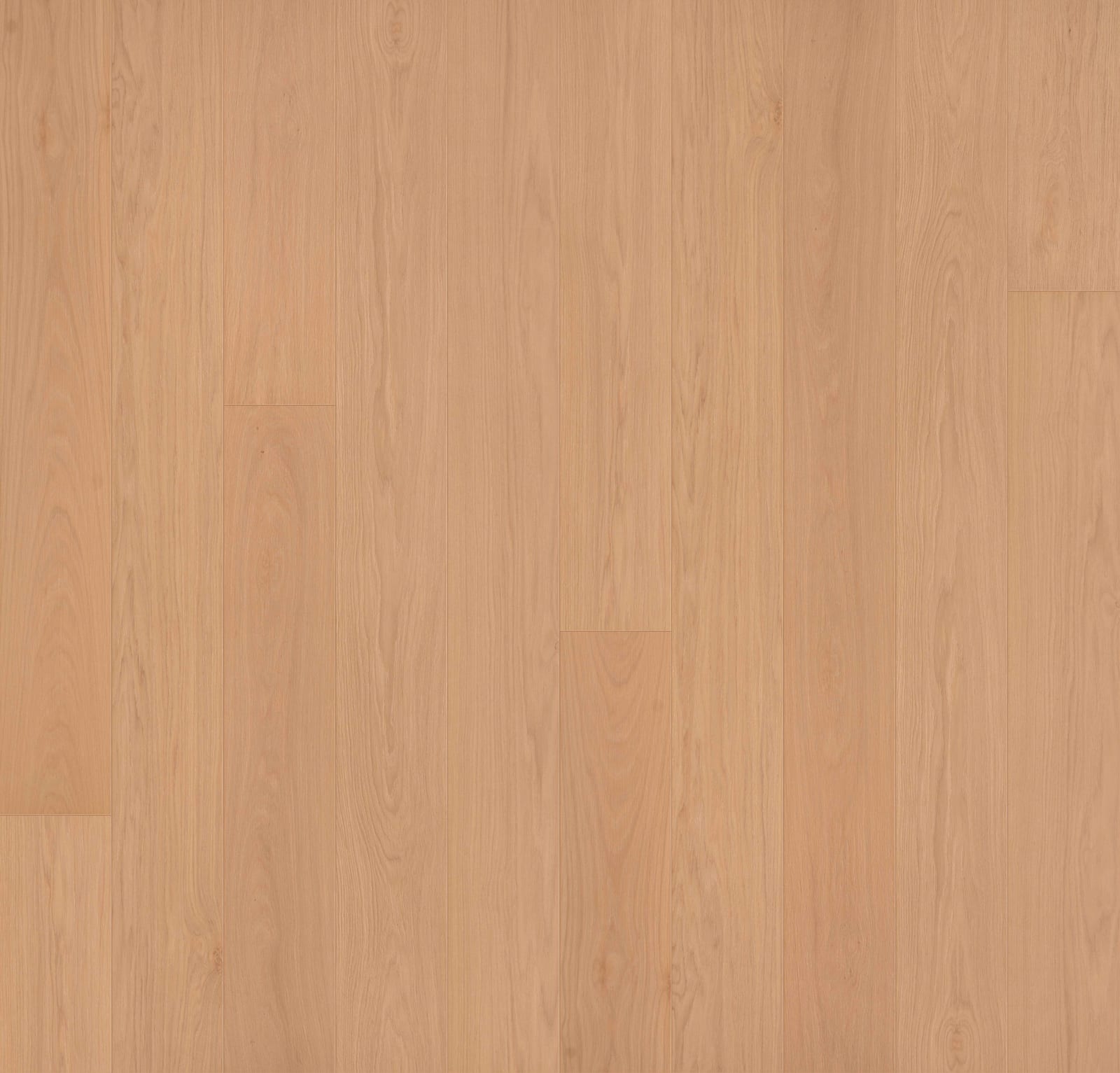 Garrison Allora 7-1/2" European Oak Doma Select