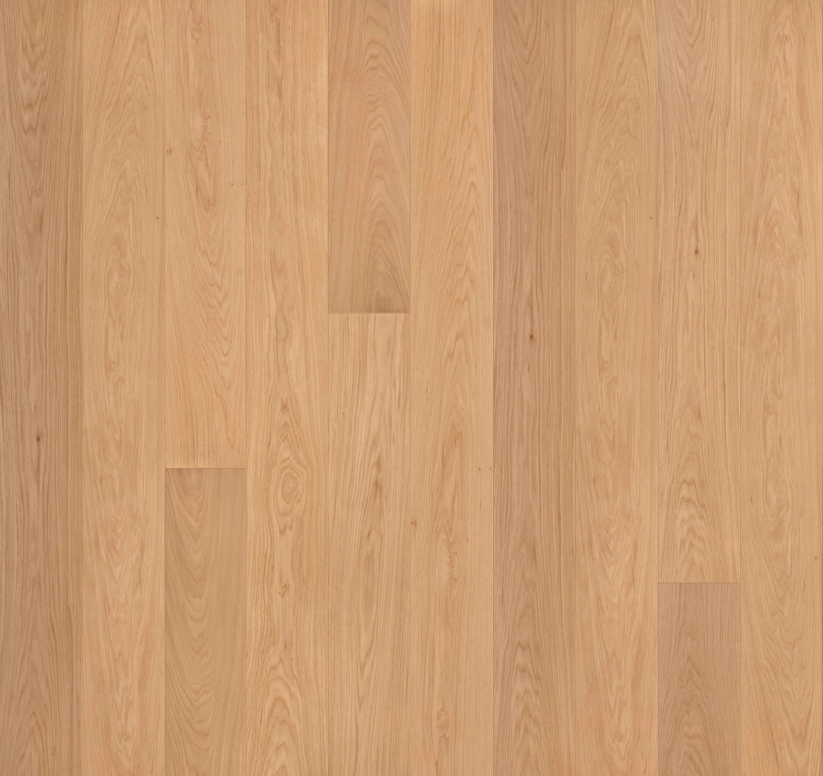 Garrison Allora 7-1/2" European Oak Sella Select