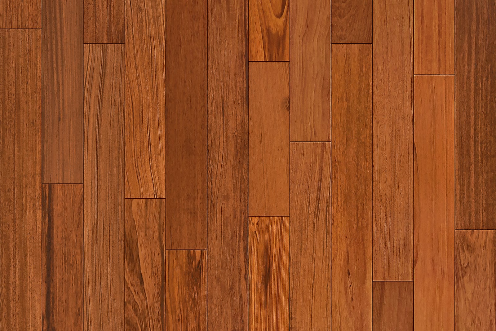 Garrison Exotics Brazilian Cherry - 5"