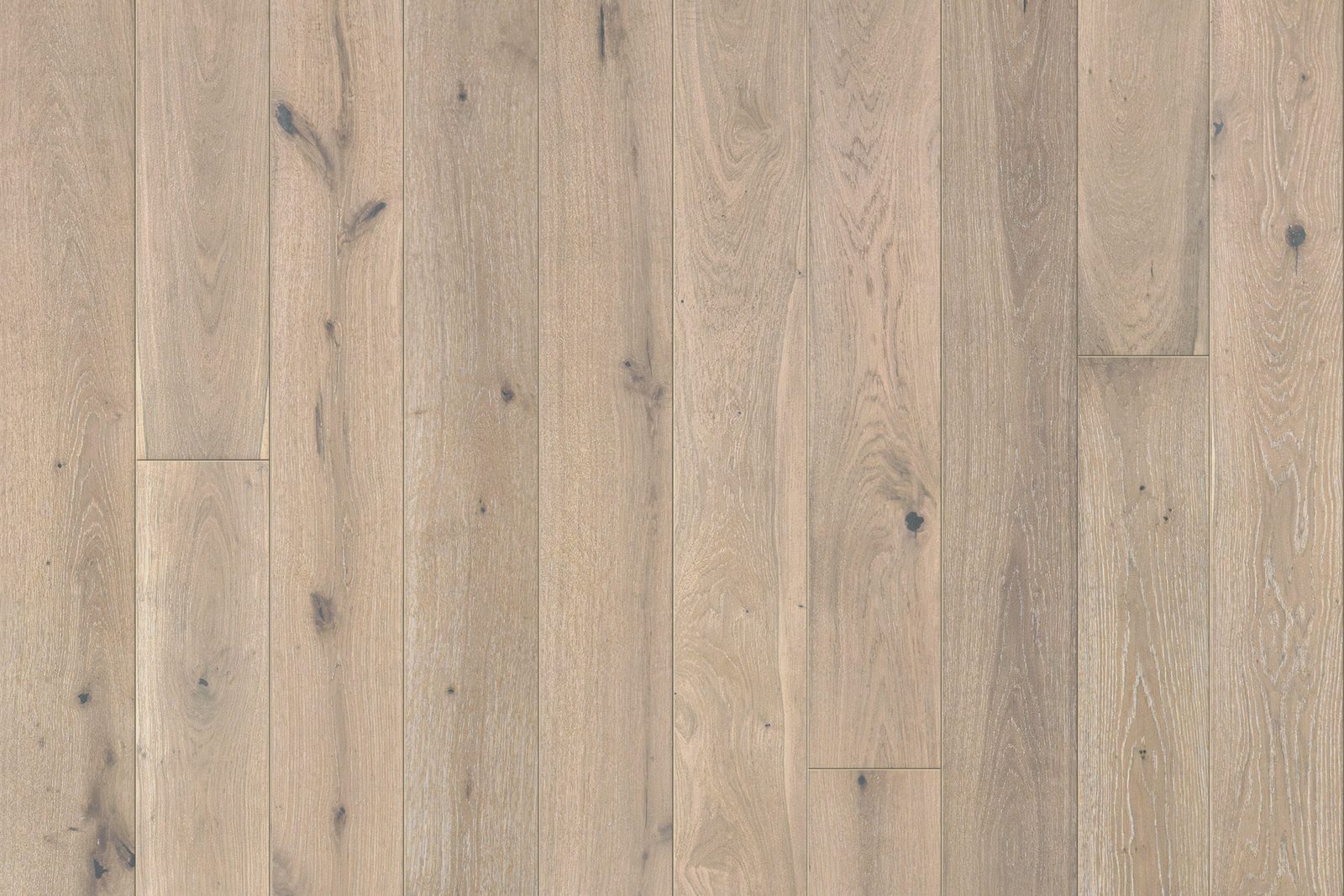 Garrison Legends European Oak Lugana 7-1/2", photo 2 of 2