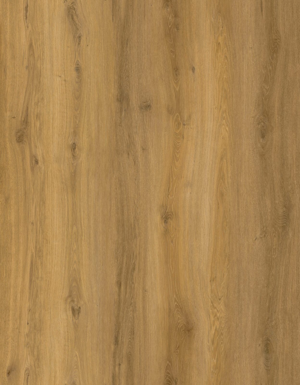 Garrison QuietPath Natural Oak