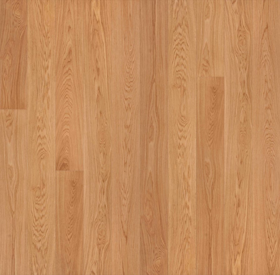 Garrison Allora 7-1/2" European Oak Strada Select