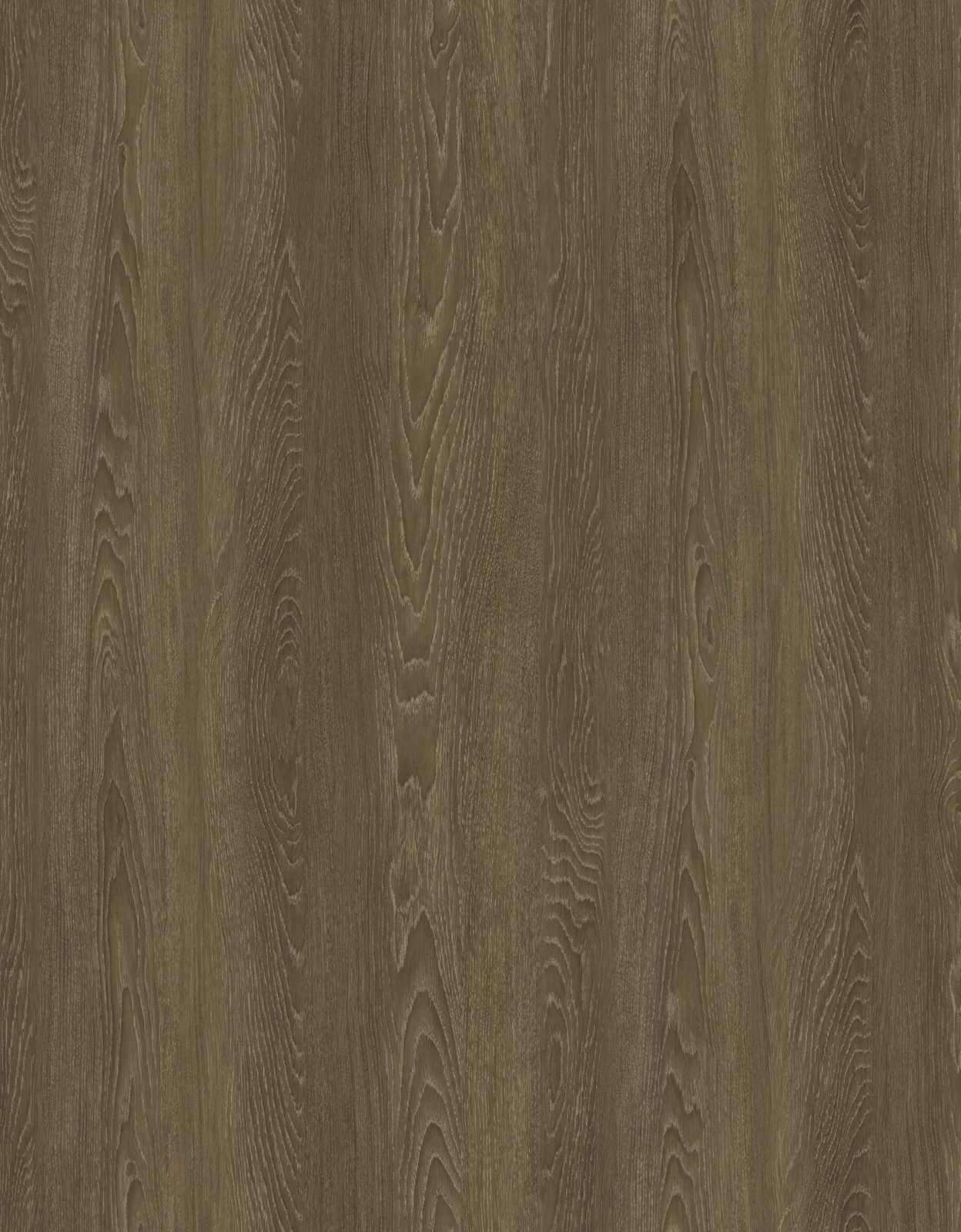Garrison QuietPath Molasses