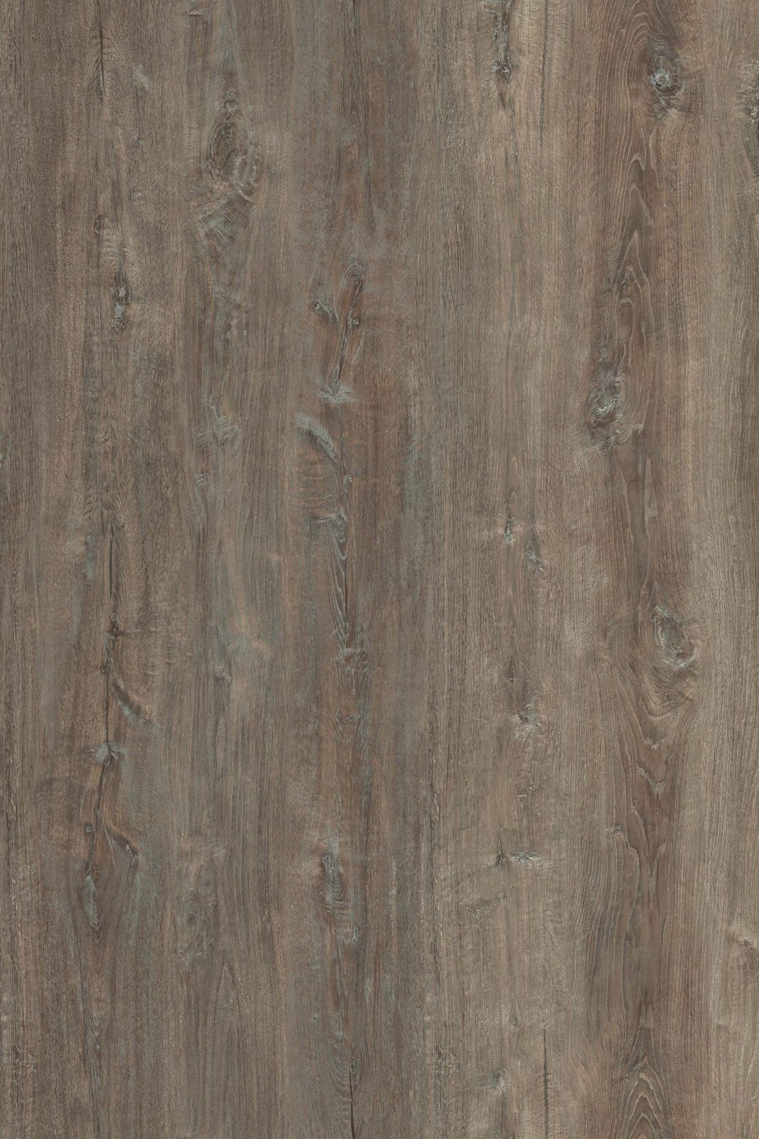 Garrison QuietPath Honey