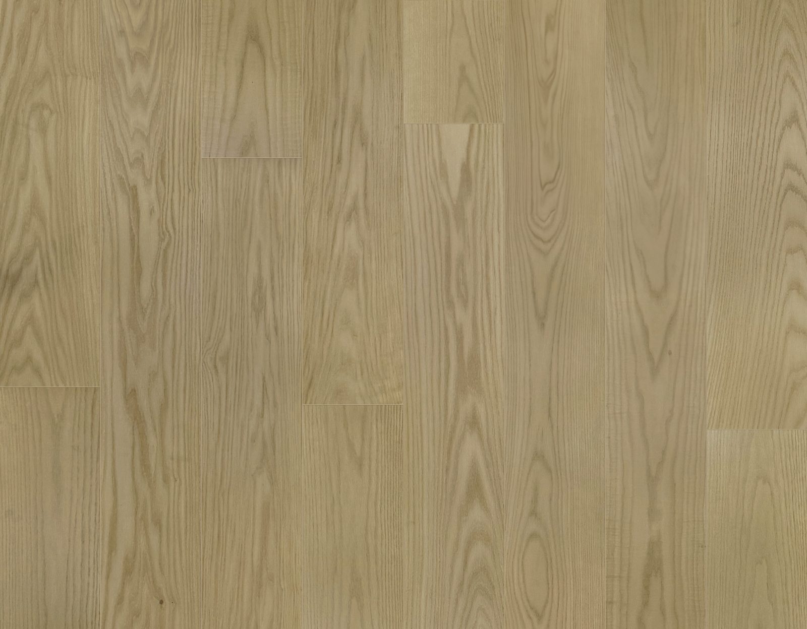 Garrison Gold Lable Suede