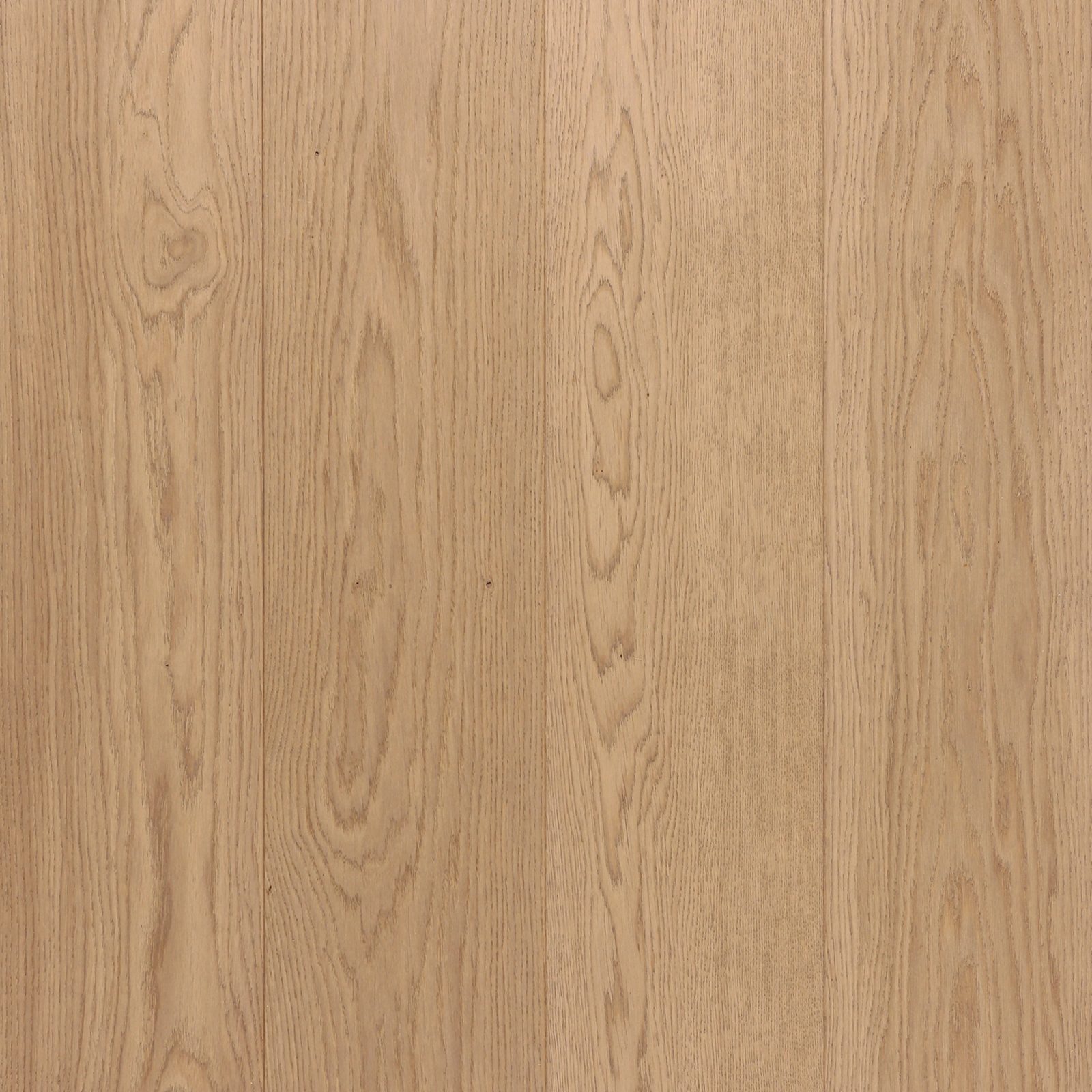 Riva Max Earth