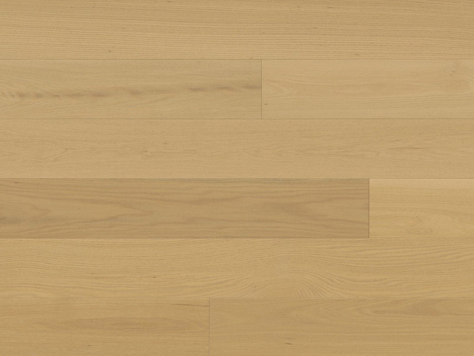Monarch Plank Premio Bella