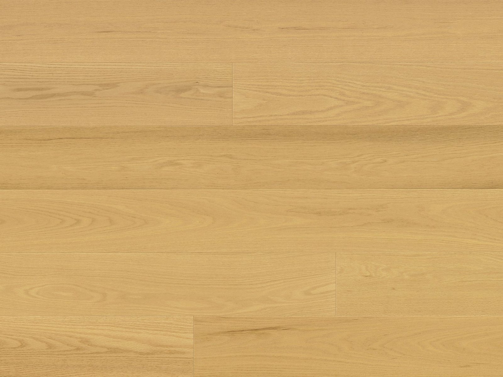 Monarch Plank Premio Vista