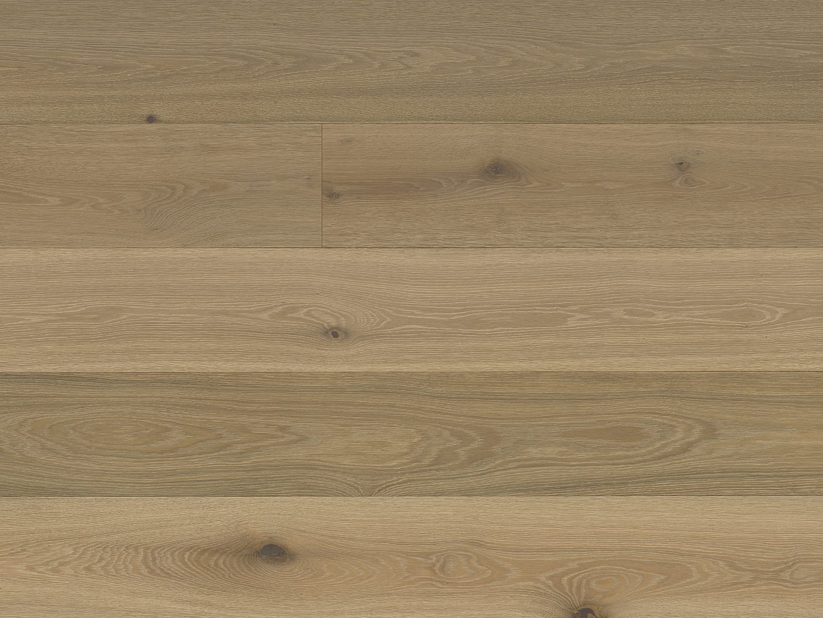 Monarch Plank Tableau Cassatt