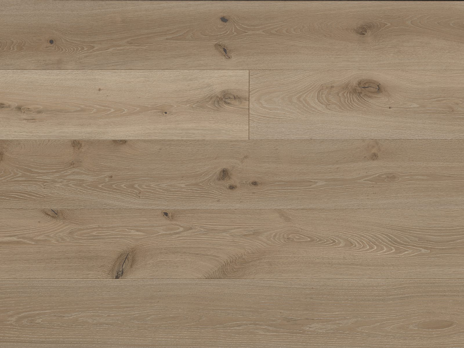 Monarch Plank Tableau Latour