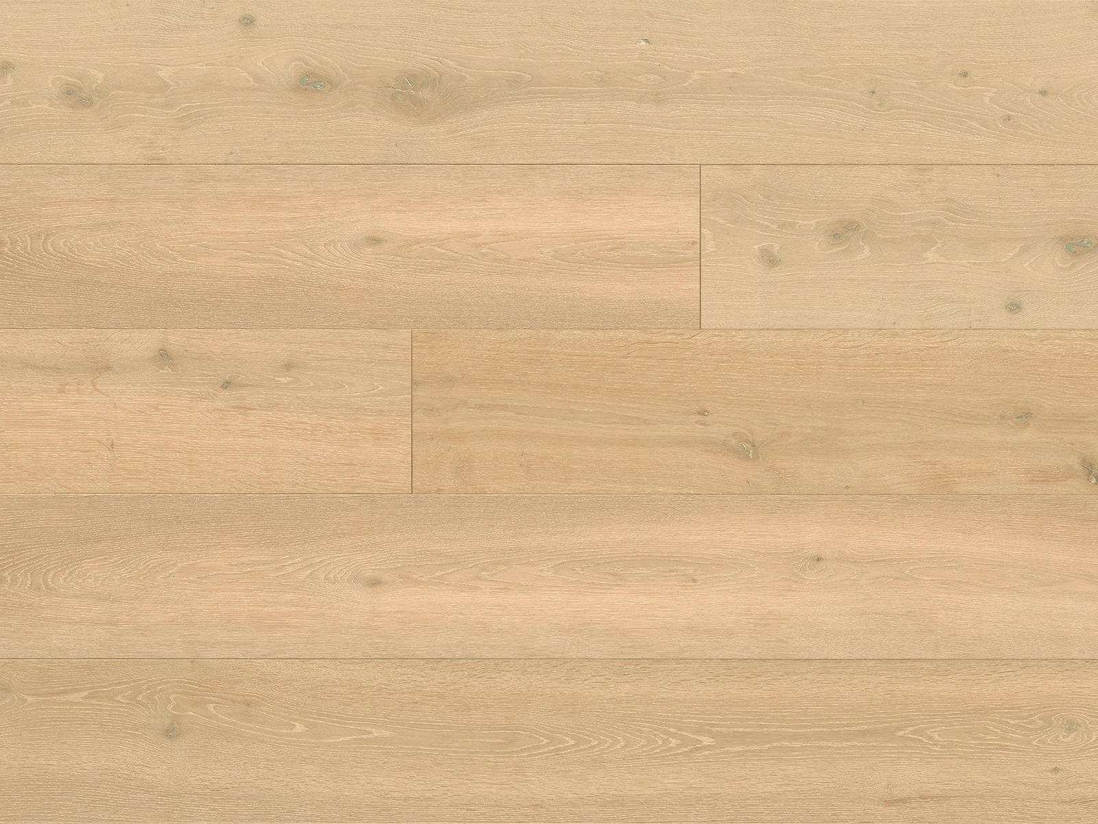 Monarch Plank Domaine II Retz