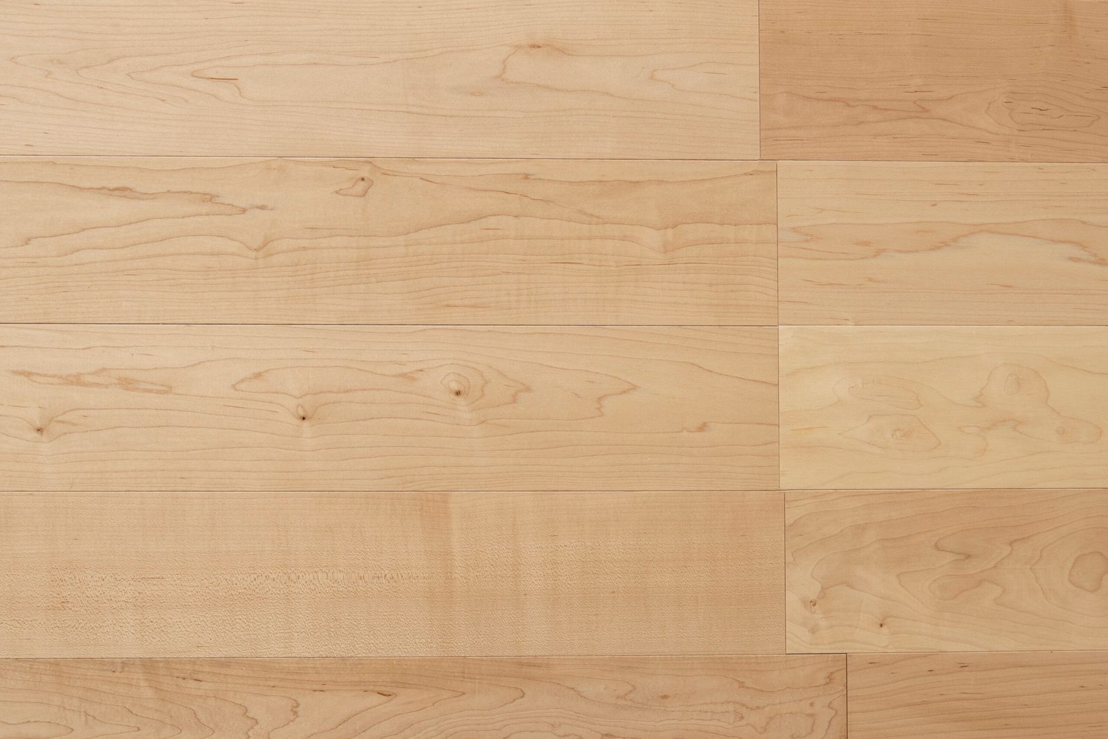 Parma Floors European Oak Collection Maple Natural