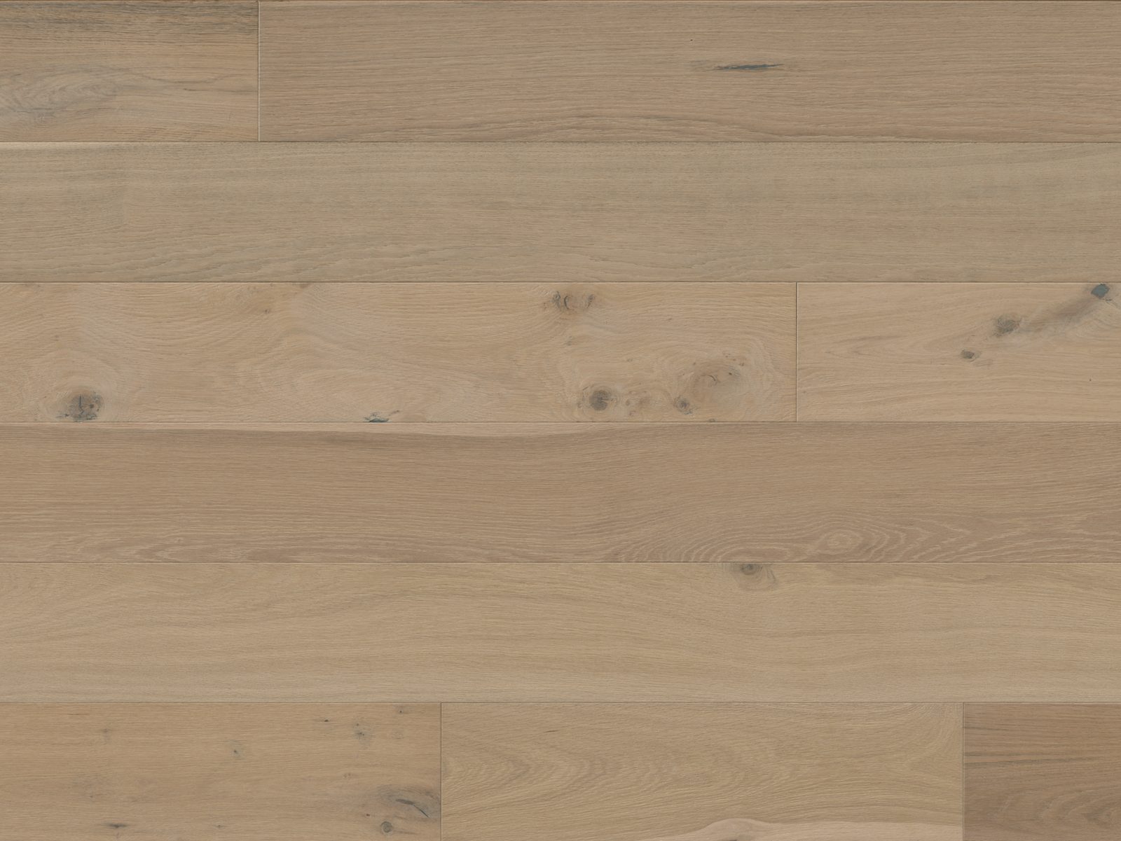 Reward AVALON Euro Oak Elyan