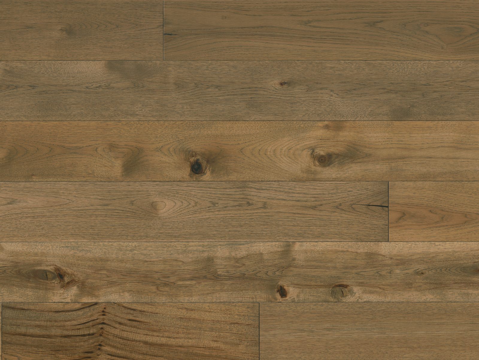 Reward AVALON Hickory Kay