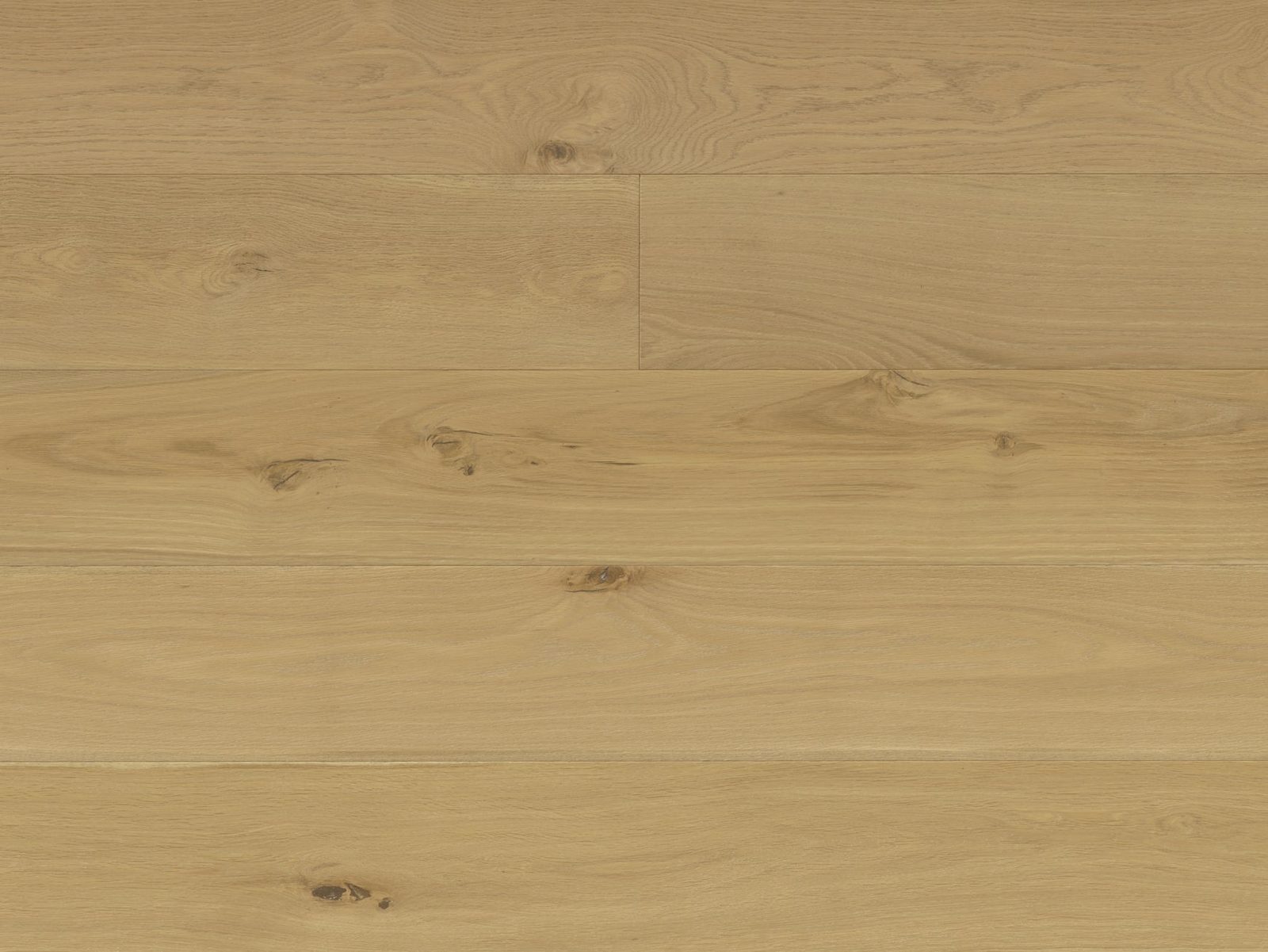 Reward TERRENO Euro Oak Conte