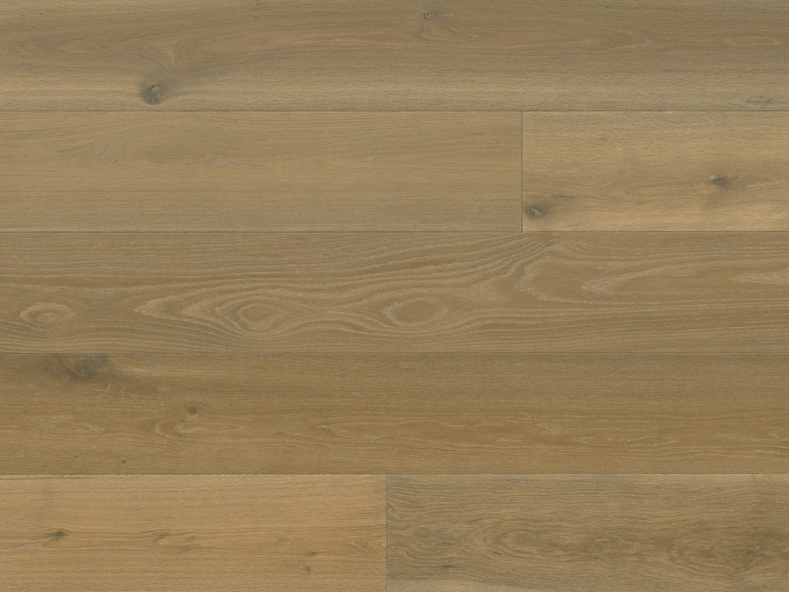 Reward TERRENO Euro Oak Nera