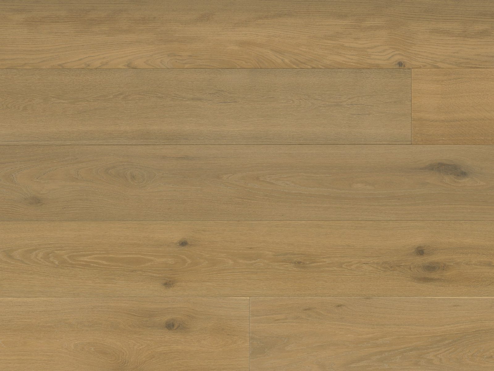 Reward TERRENO Euro Oak Sila
