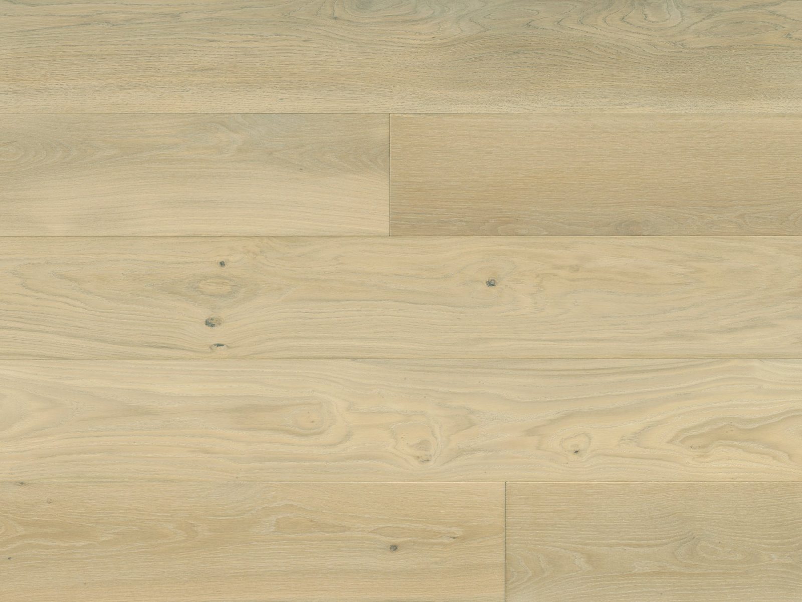 Reward TERRENO Euro Oak Sesia