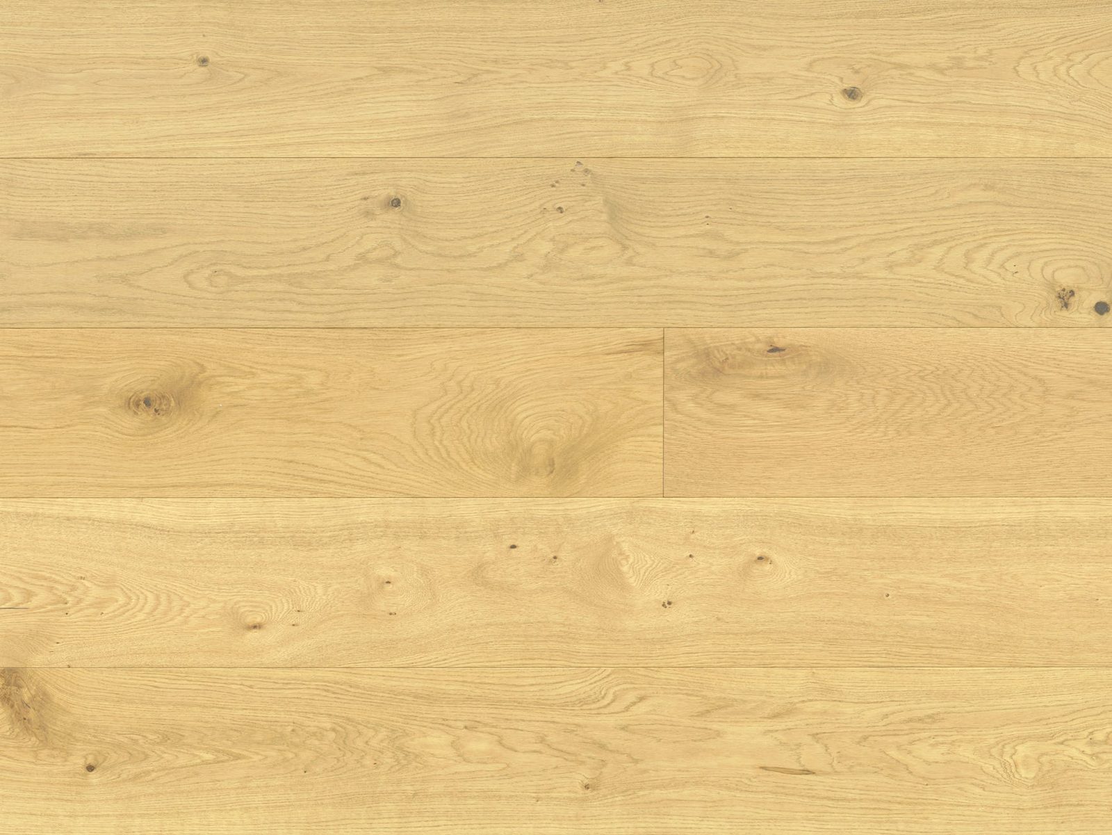 Reward URBANO Euro Oak mmano