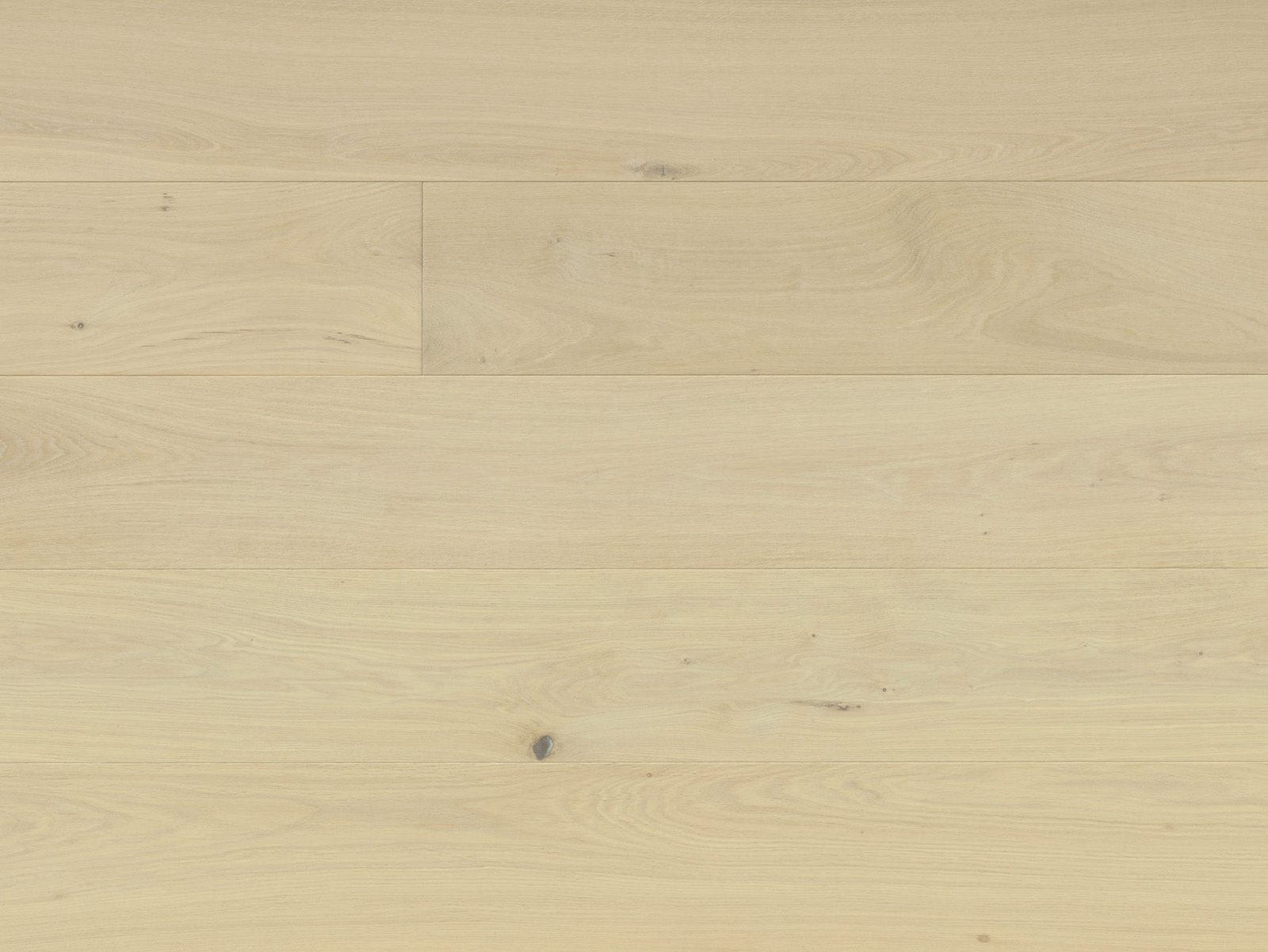Reward URBANO Euro Oak Palermo