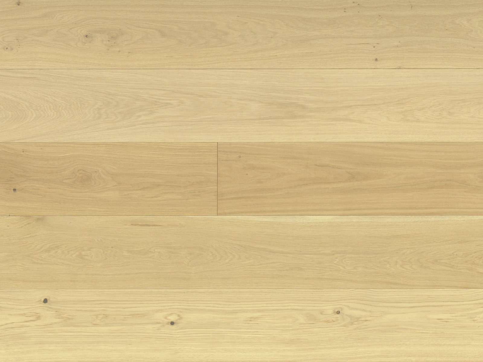 Reward URBANO Euro Oak Ravenna