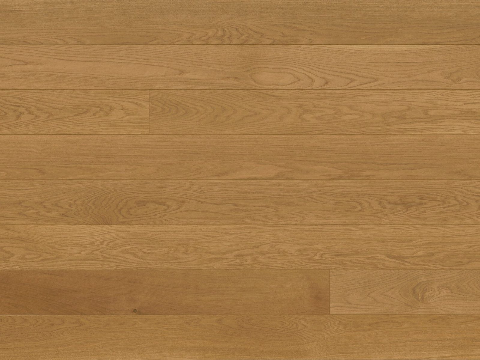 Reward EUROPA Euro Oak Sava