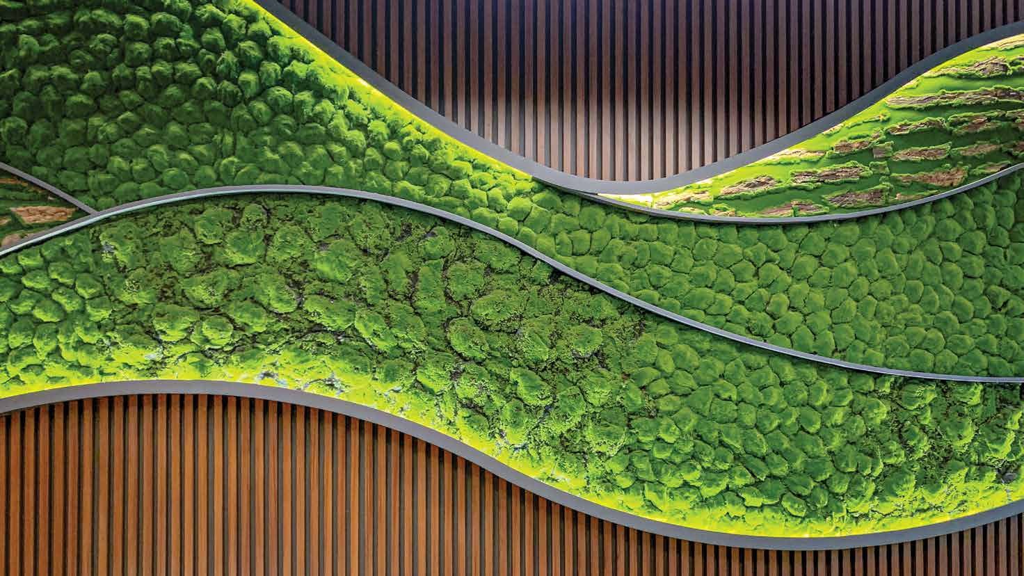 Riva Moss Walls