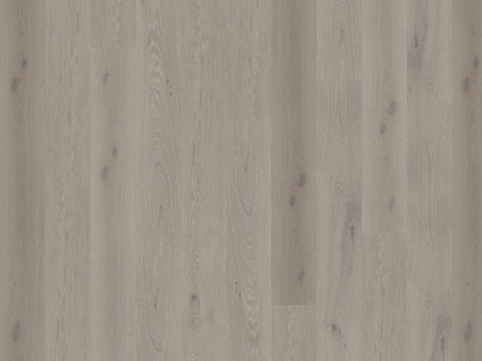 Duchateau GLOBAL WINDS Levante