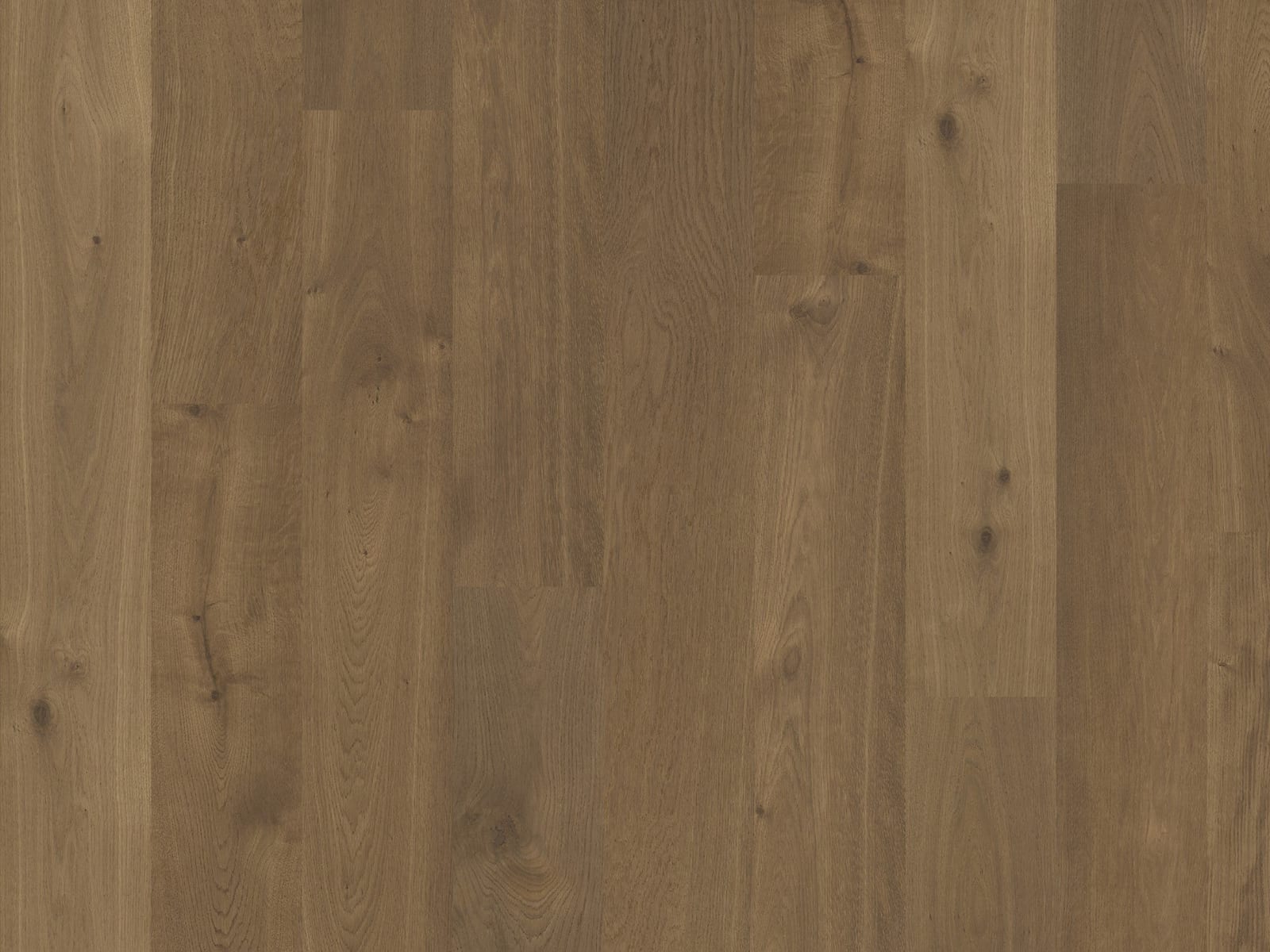Duchateau TERRA Alpine