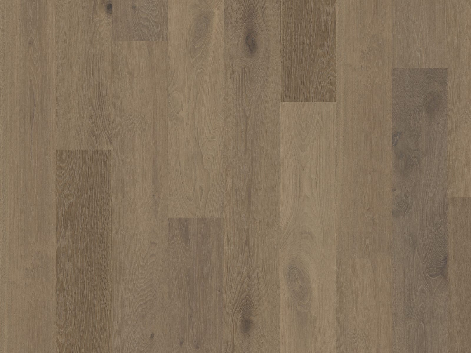 Duchateau TERRA Chaparral
