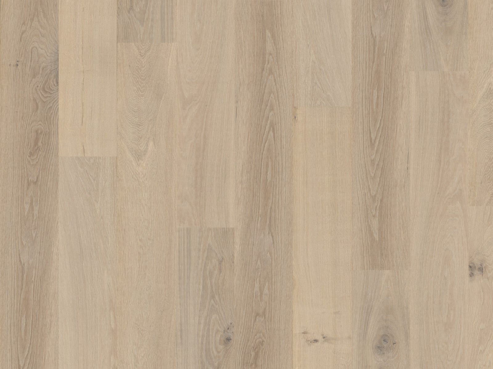Duchateau TERRA Taiga