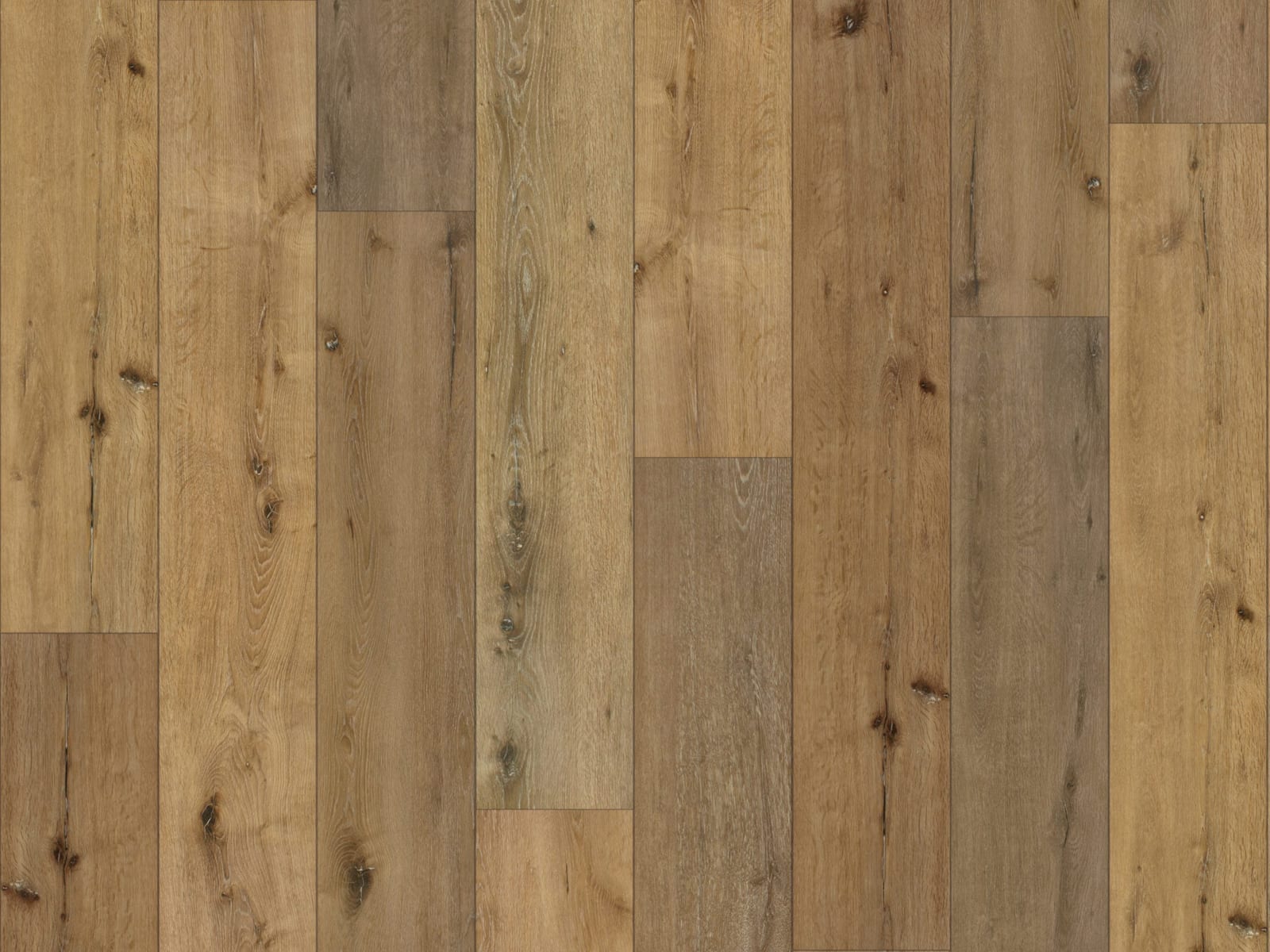 Duchateau LUXETECH 20 Youngscombe