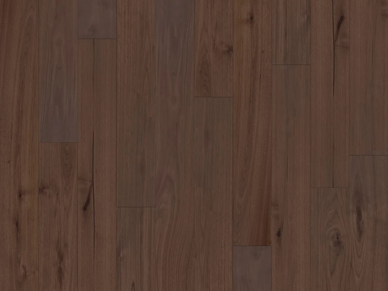 Duchateau VERNAL American Walnut