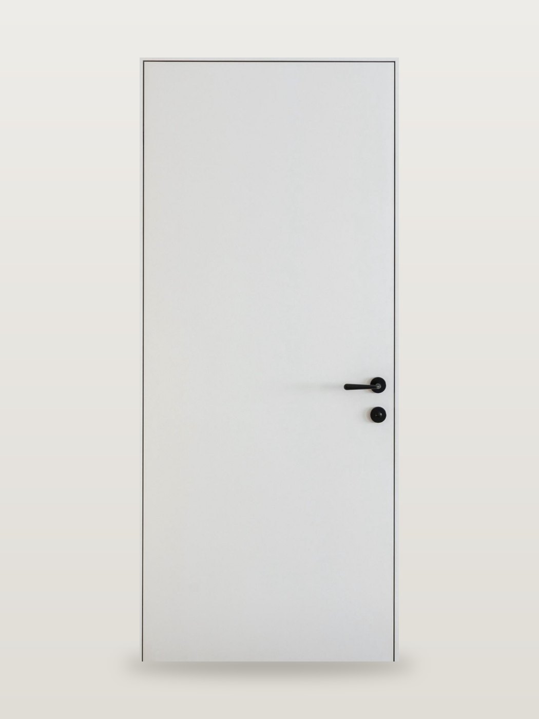Flush Door — Your Design, photo 2 of 2