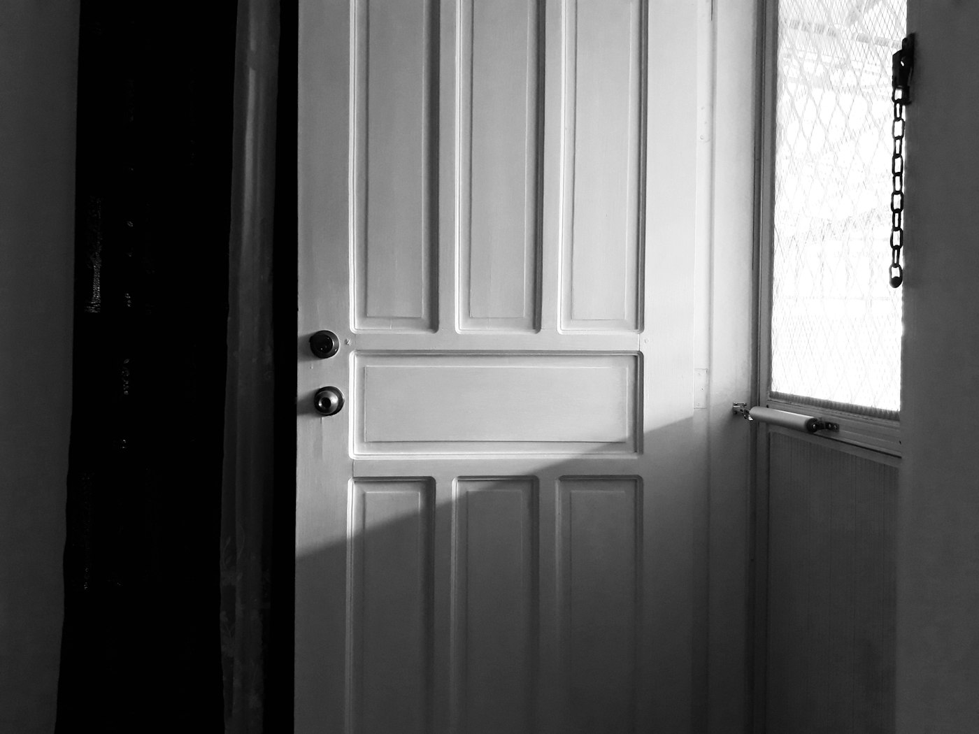 Flush Hollow Core Door